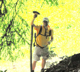 Herr Krause ist der beste Pilzsammler !