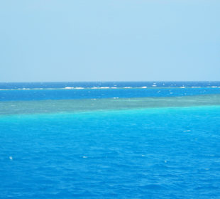 Tolle Farben