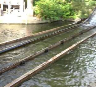 Erlebnispark Tripsdrill