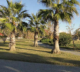 Einfach traumhaft im Dezember