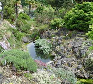 Alpinum
