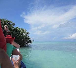 Am Rande der Mangroven