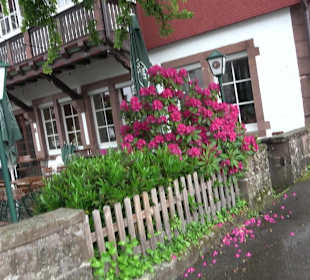 Alpirsbacher Klosterbräu