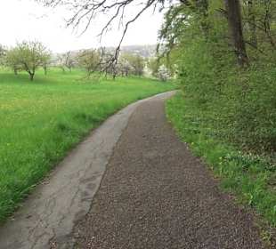 Naturerlebnisweg des NABU-Metzingen