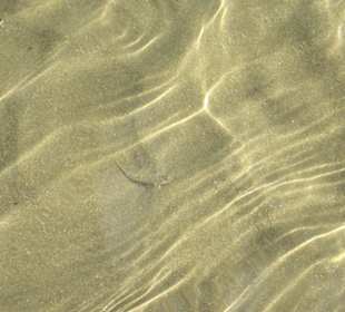 Klares sauberes Meer