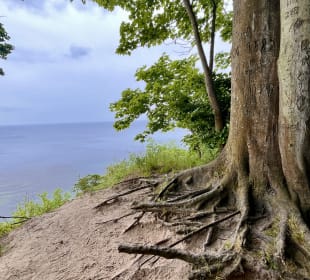 Wandern Sellin auf Rügen
