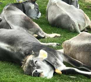 Wandergebiet Schennaberg