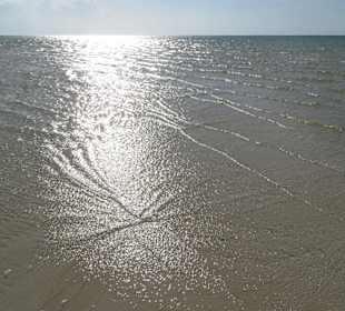 Fußmarsch von ca.1,5 km