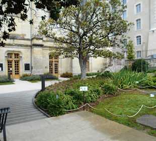 Jérôme Cuzin Centre