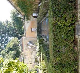 Dettaglio del giardino