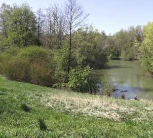 Sport- und Freizeitpark Markwasen