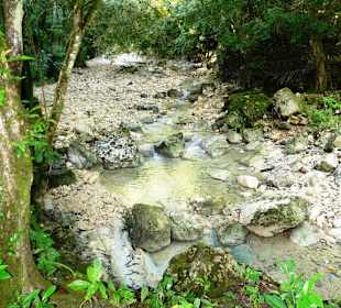 Flußbett beim Dschungeltrekking wo wir durchliefen