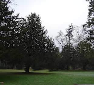 Schloss Karlsruhe Schlossgarten