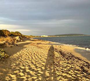 Strand Playa Migjorn