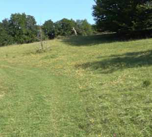 Wacholderheide Sternberg