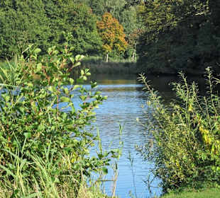 Herbst im Gesundheitspark Speckenbüttel