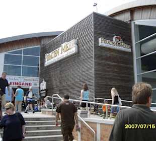 Eingangsbereich zum Meerwasserwellenbad.