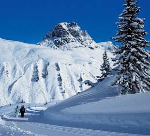 Winterwandern am Widderstein!