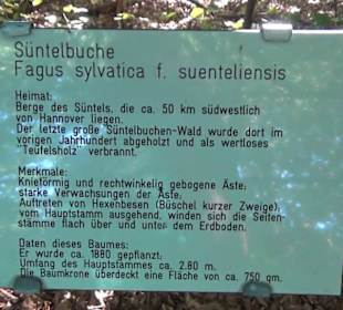 Staudengarten - Berggarten