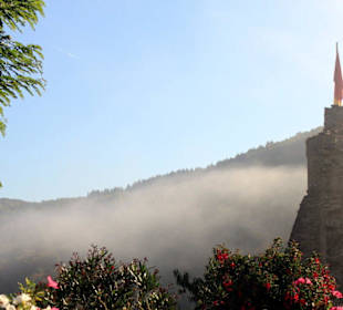 Nebel um Burg Metternich