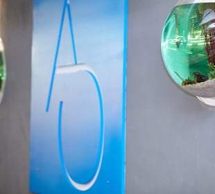 AO-Logo