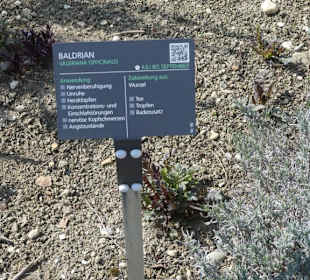Erläuterungen der Kräuter