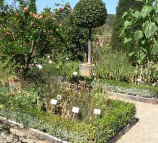 Bastionsgarten