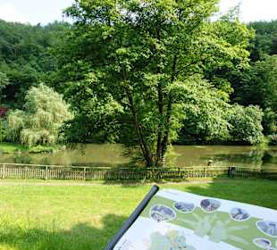 Wandern Bad Bertrich