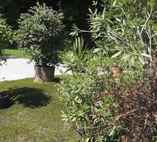 Botanischer Garten der Universität Zürich