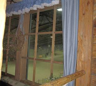 Ausblick aud die Piste