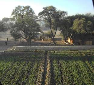 Langsam gehts aufwärts