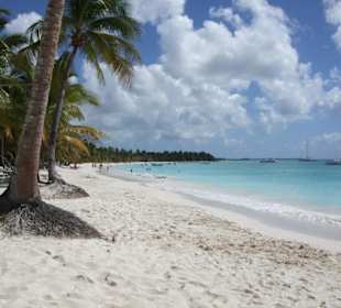 Insel Saona - Strand