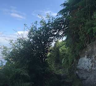 Wandern St Andrews