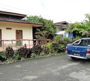 Wildlife Expeditions