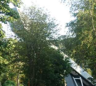 Bei der Wadeberg-Skisprunganlage in Oberhof