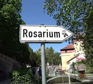 Rosengarten Nördlingen