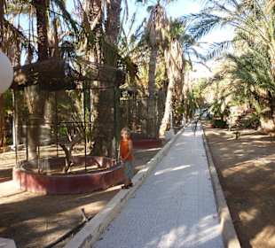 Im Stella Canaris Park