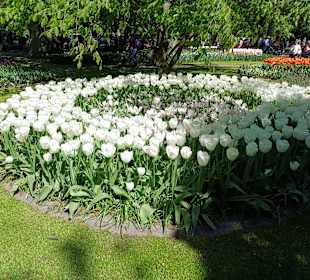 Keukenhof