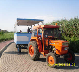 Shuttle-Service