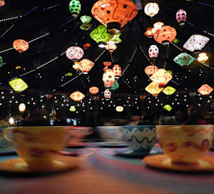 Nachts im Park- MAGISCH