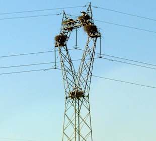 Das ist der wohl begehrteste Platz