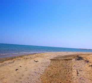 Direkt am Strand FKK