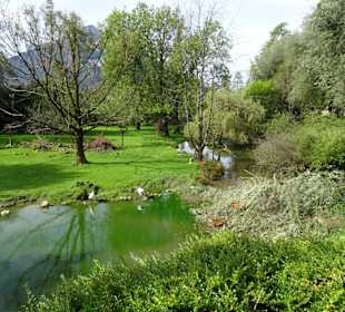 Die großen Gehege im Zoo Salzburg