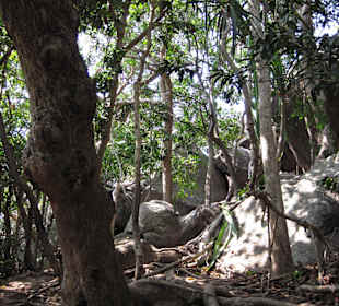 Weg zum Aussichtspunkt