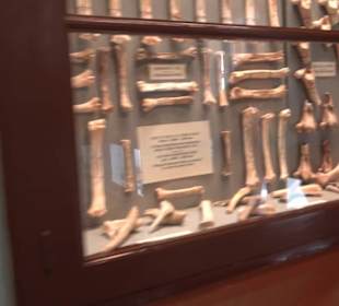 Ghar Dalam Cave & Museum