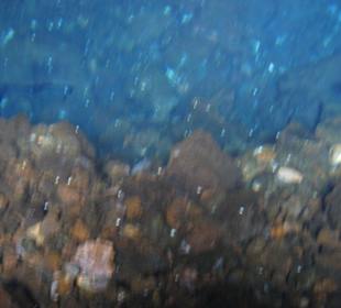 Jaskinia Jameos del Agua