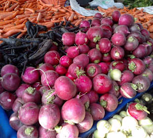 Riesen Radieschen für ein für ein paar TL.