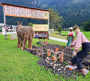 Wandern St. Martin bei Lofer