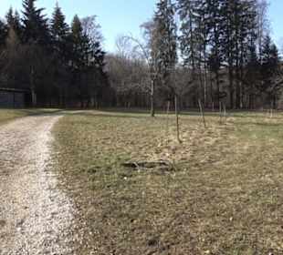 Premiumwanderweg Hohenwittlingensteig