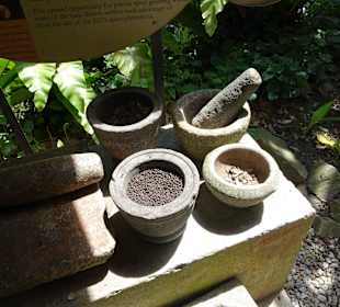 Gewürzgarten in Malaysia